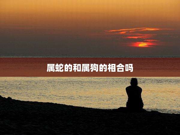 属蛇的和属狗的相合吗