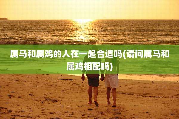 属马和属鸡的人在一起合适吗(请问属马和属鸡相配吗)