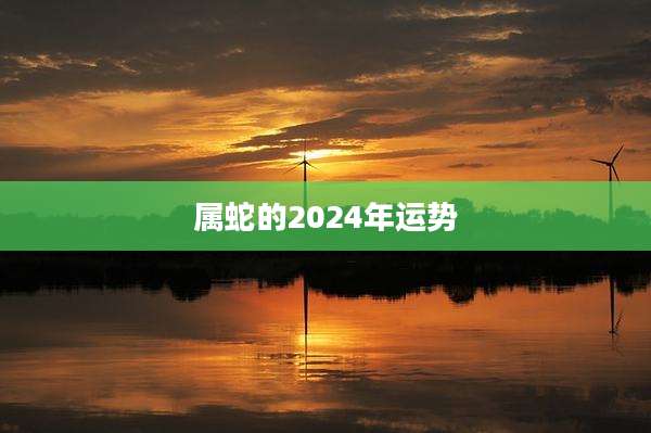 属蛇的2024年运势