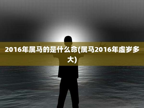 2016年属马的是什么命(属马2016年虚岁多大)