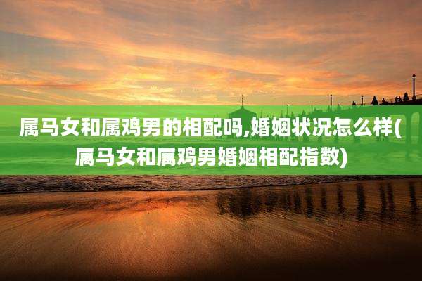 属马女和属鸡男的相配吗,婚姻状况怎么样(属马女和属鸡男婚姻相配指数)