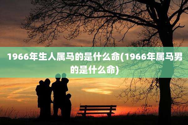 1966年生人属马的是什么命(1966年属马男的是什么命)