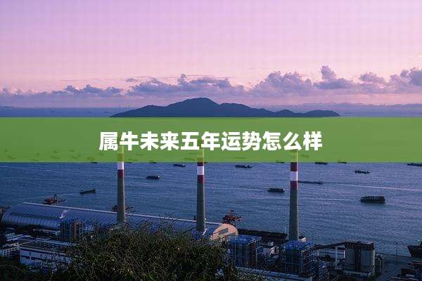 属牛未来五年运势怎么样