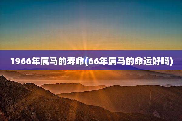1966年属马的寿命(66年属马的命运好吗)