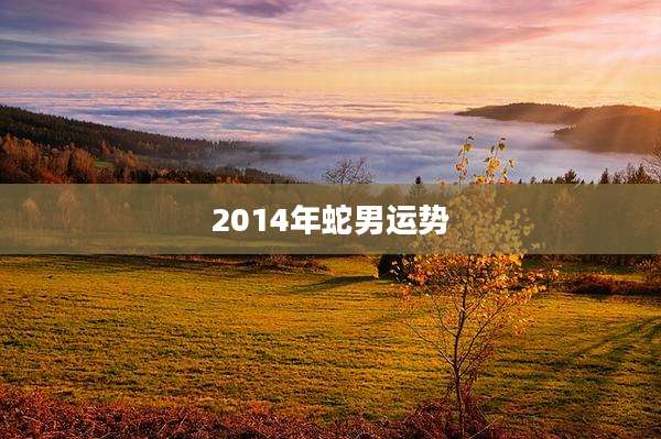 2014年蛇男运势