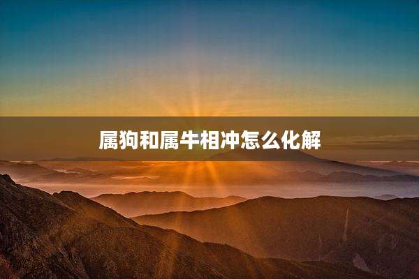 属狗和属牛相冲怎么化解