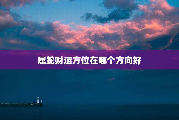 属蛇财运方位在哪个方向好