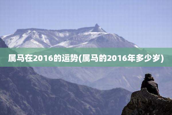 属马在2016的运势(属马的2016年多少岁)
