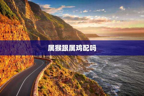 属猴跟属鸡配吗