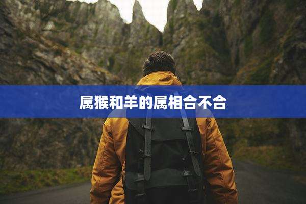 属猴和羊的属相合不合