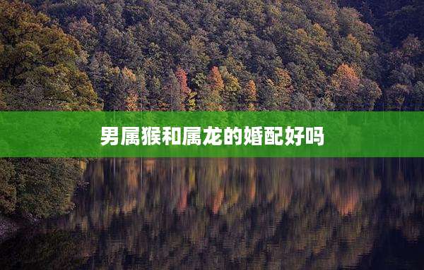 男属猴和属龙的婚配好吗