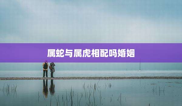 属蛇与属虎相配吗婚姻