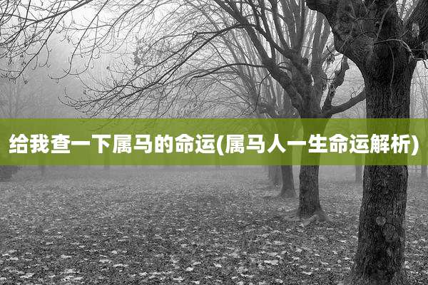 给我查一下属马的命运(属马人一生命运解析)