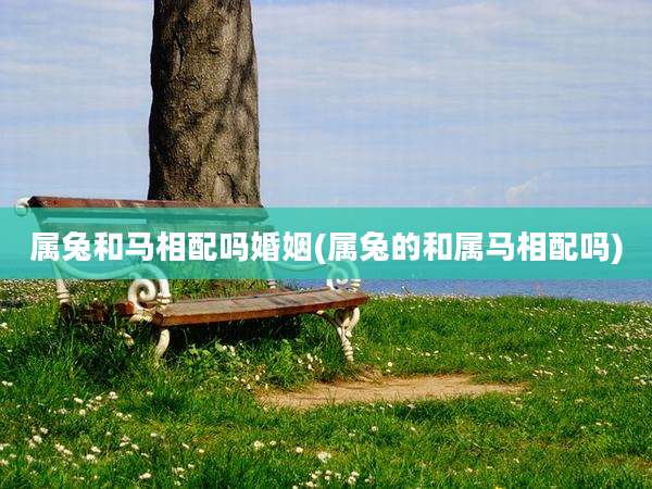 属兔和马相配吗婚姻(属兔的和属马相配吗)