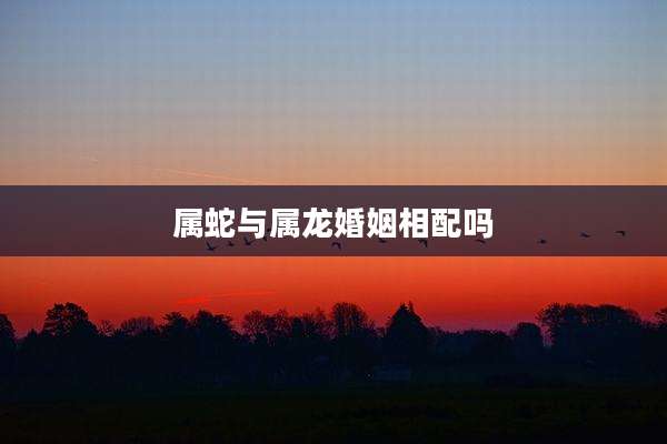 属蛇与属龙婚姻相配吗