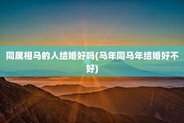 同属相马的人结婚好吗(马年同马年结婚好不好)