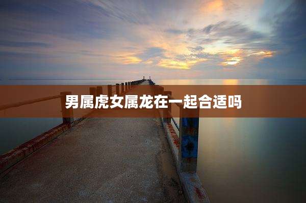 男属虎女属龙在一起合适吗