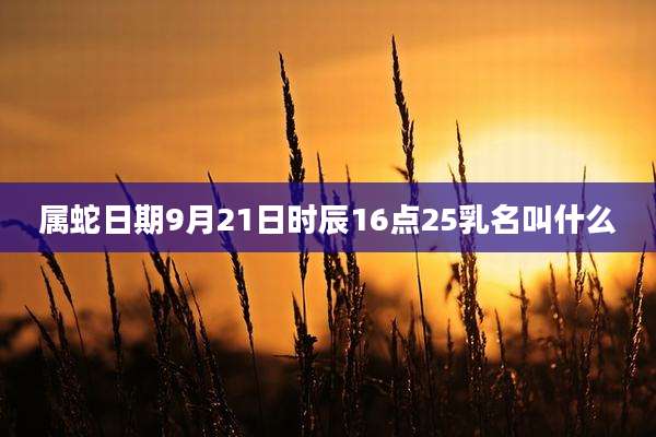 属蛇日期9月21日时辰16点25乳名叫什么