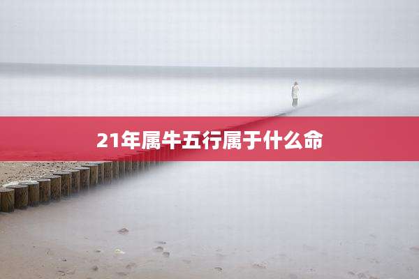 21年属牛五行属于什么命