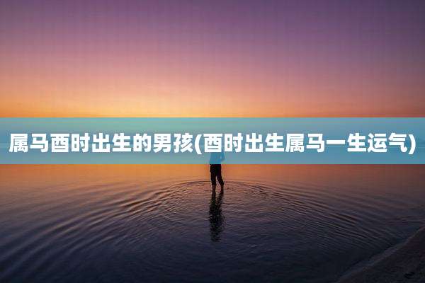 属马酉时出生的男孩(酉时出生属马一生运气)