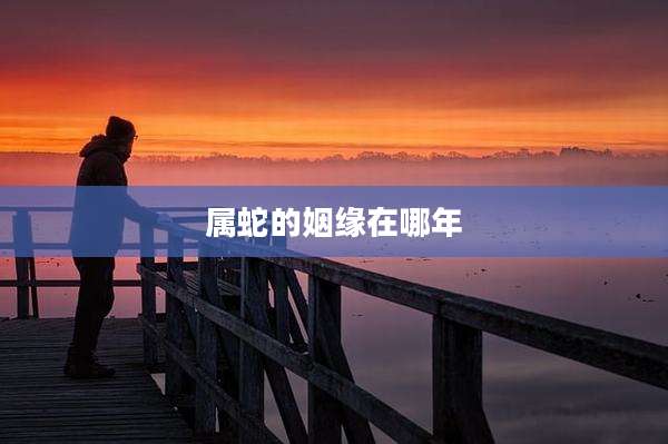 属蛇的姻缘在哪年