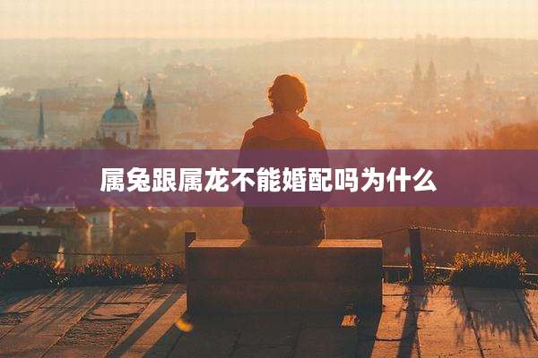 属兔跟属龙不能婚配吗为什么