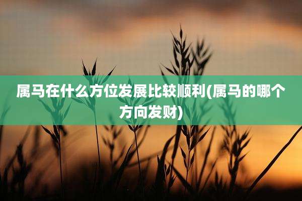 属马在什么方位发展比较顺利(属马的哪个方向发财)