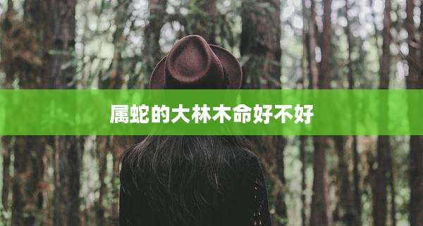 属蛇的大林木命好不好