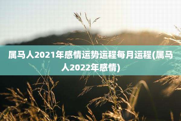属马人2021年感情运势运程每月运程(属马人2022年感情)