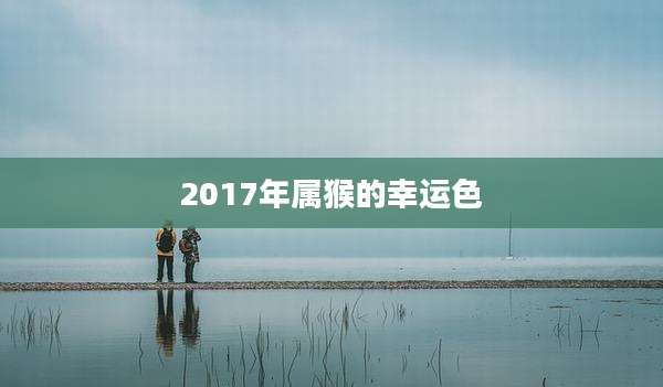 2017年属猴的幸运色
