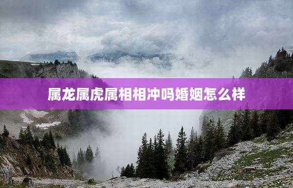 属龙属虎属相相冲吗婚姻怎么样