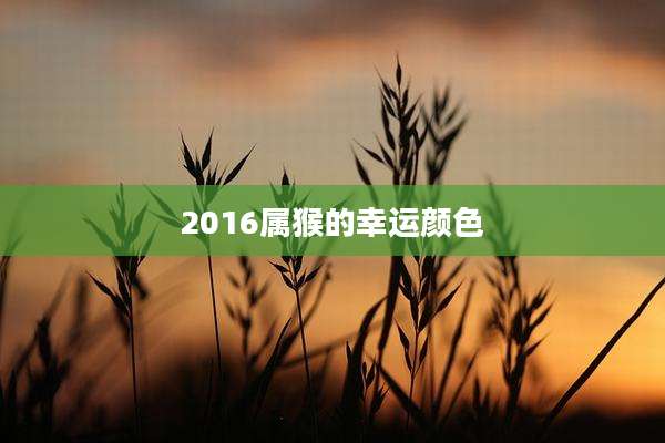 2016属猴的幸运颜色