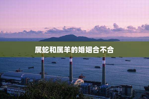 属蛇和属羊的婚姻合不合