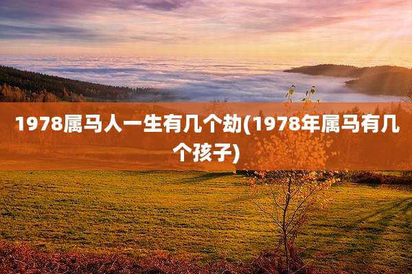 1978属马人一生有几个劫(1978年属马有几个孩子)