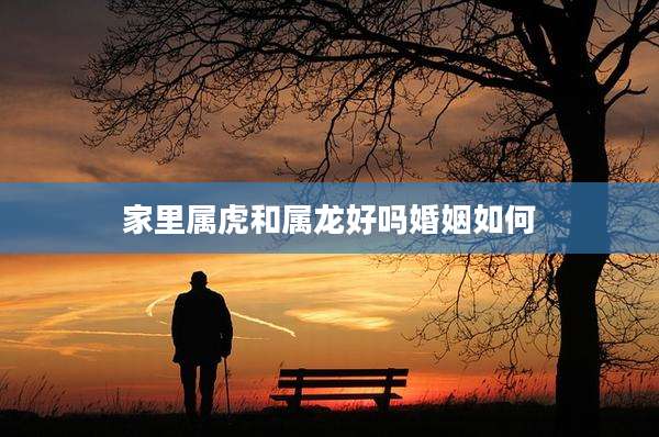 家里属虎和属龙好吗婚姻如何