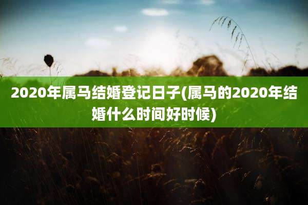 2020年属马结婚登记日子(属马的2020年结婚什么时间好时候)