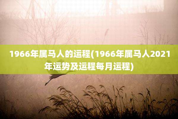1966年属马人的运程(1966年属马人2021年运势及运程每月运程)