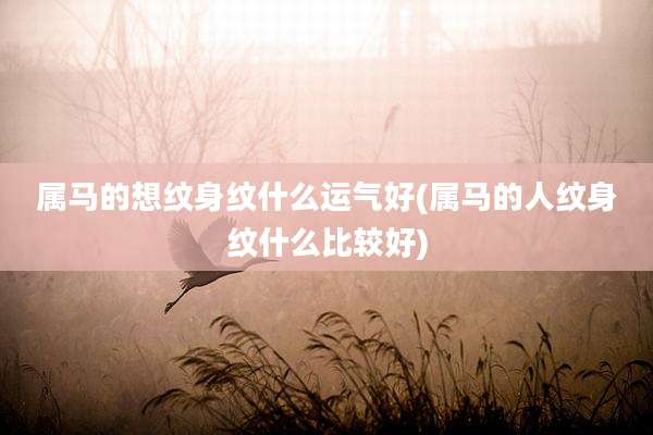 属马的想纹身纹什么运气好(属马的人纹身纹什么比较好)