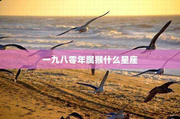 一九八零年属猴什么星座