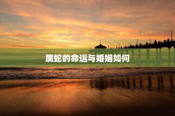 属蛇的命运与婚姻如何