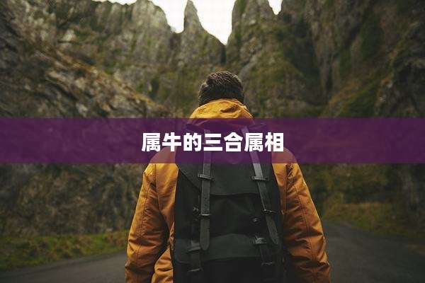 属牛的三合属相