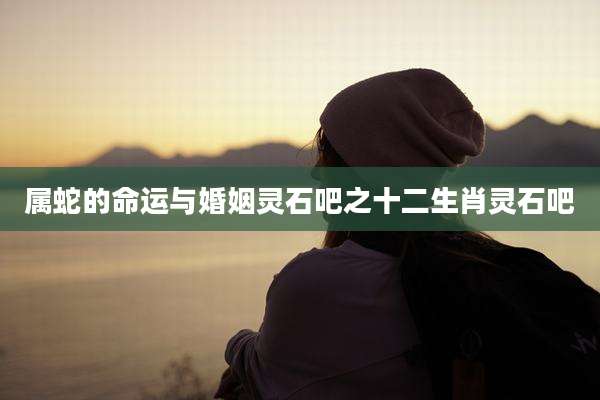 属蛇的命运与婚姻灵石吧之十二生肖灵石吧