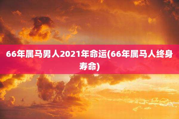 66年属马男人2021年命运(66年属马人终身寿命)