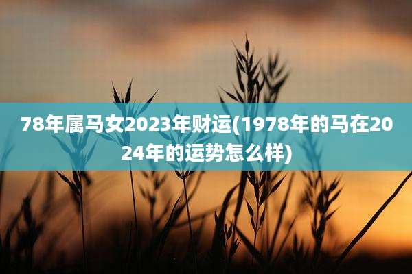 78年属马女2023年财运(1978年的马在2024年的运势怎么样)