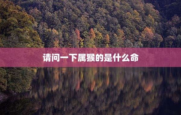 请问一下属猴的是什么命