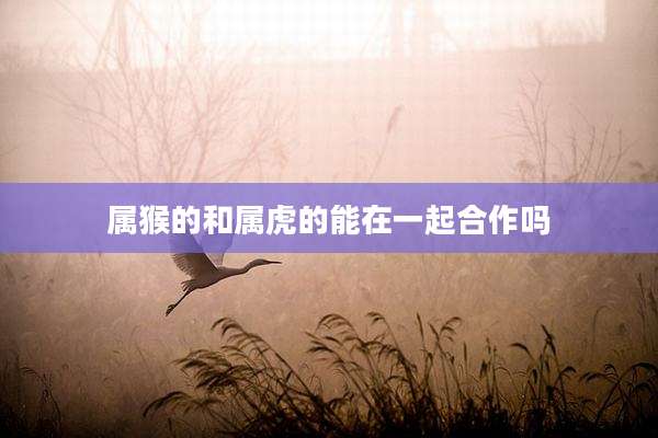 属猴的和属虎的能在一起合作吗