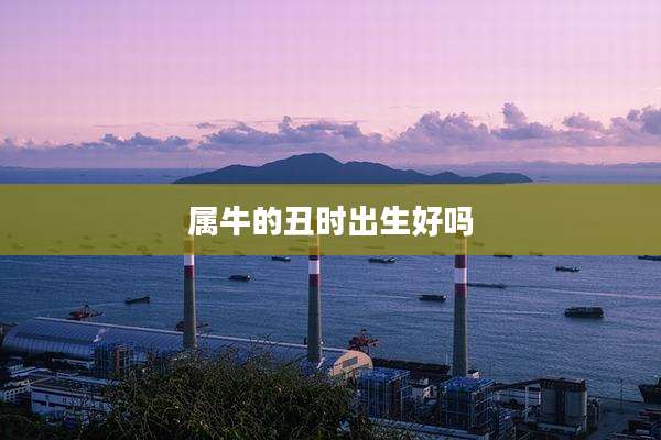 属牛的丑时出生好吗