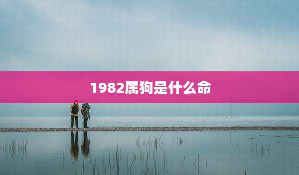 1982属狗是什么命