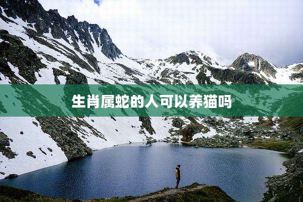 生肖属蛇的人可以养猫吗