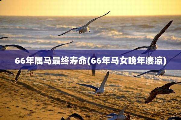 66年属马最终寿命(66年马女晚年凄凉)